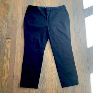 BRAND NEW WITH TAGS Banana Republic Curvy Sloan Back Pants!